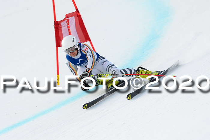 NJC  + FIS SG Herren, Götschen, 17.02.2020