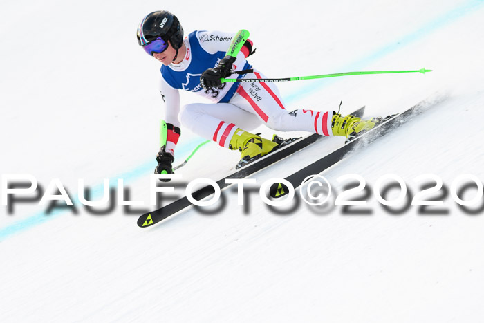 NJC  + FIS SG Herren, Götschen, 17.02.2020