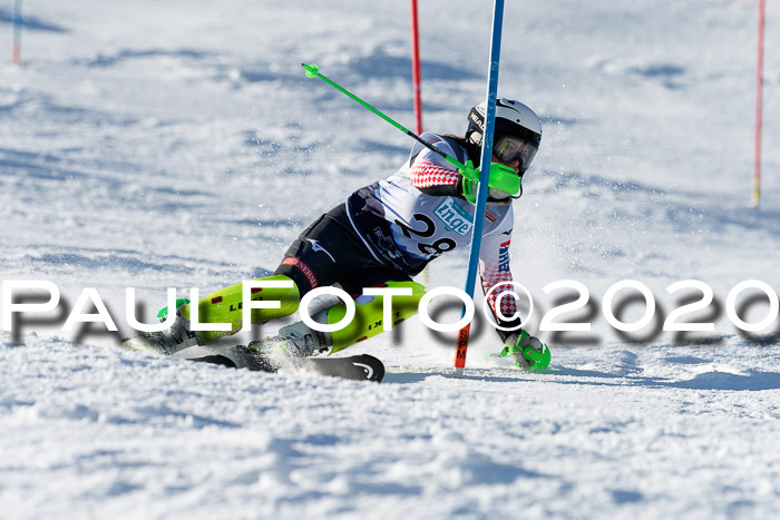 NJC Damen Slalom, 22.02.2020