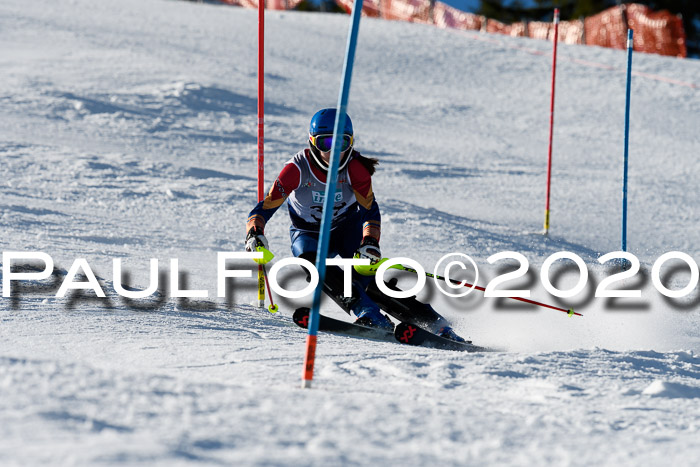 NJC Damen Slalom, 22.02.2020