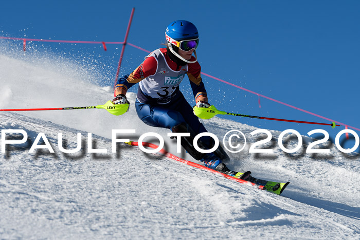 NJC Damen Slalom, 22.02.2020