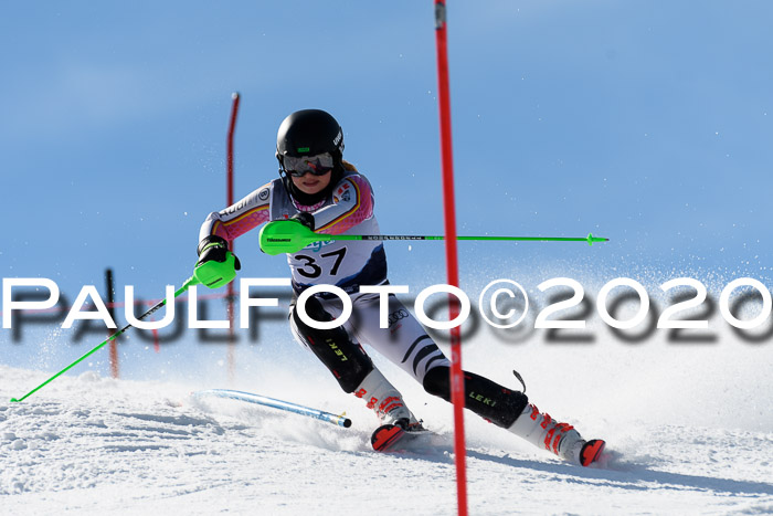 NJC Damen Slalom, 22.02.2020
