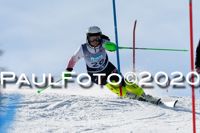 NJC Damen Slalom, 22.02.2020