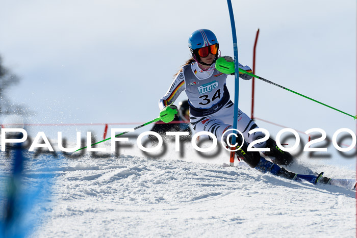 NJC Damen Slalom, 22.02.2020