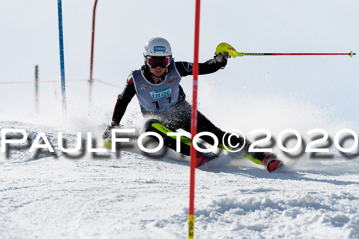NJC Damen Slalom, 22.02.2020