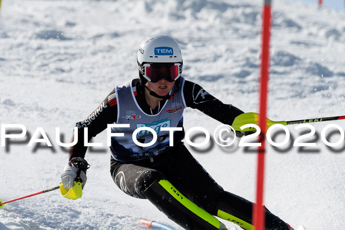 NJC Damen Slalom, 22.02.2020