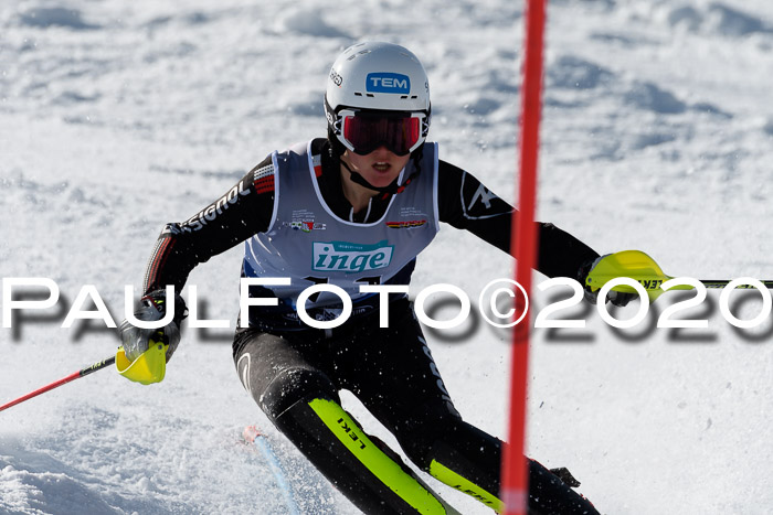 NJC Damen Slalom, 22.02.2020