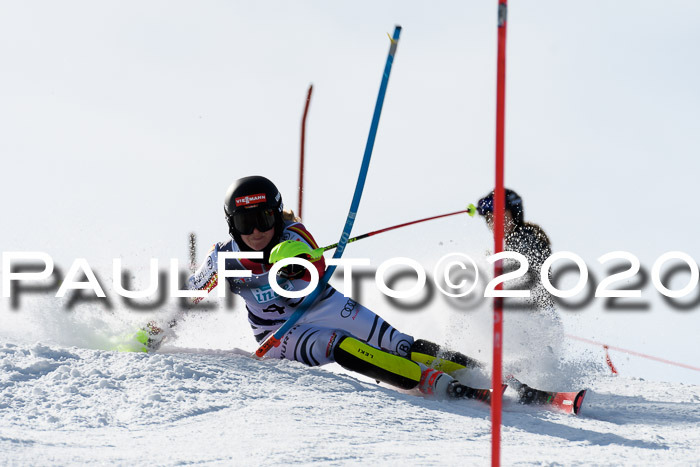 NJC Damen Slalom, 22.02.2020