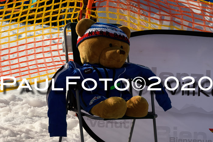 NJC Damen Slalom, 22.02.2020