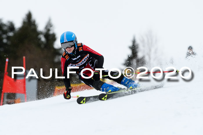 7.  Zienercup + Werdenfelser Meisterschaft 23.02.2020