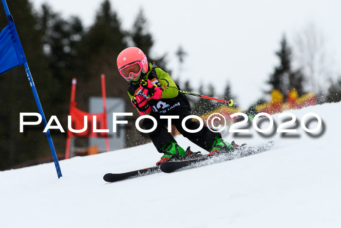 7.  Zienercup + Werdenfelser Meisterschaft 23.02.2020