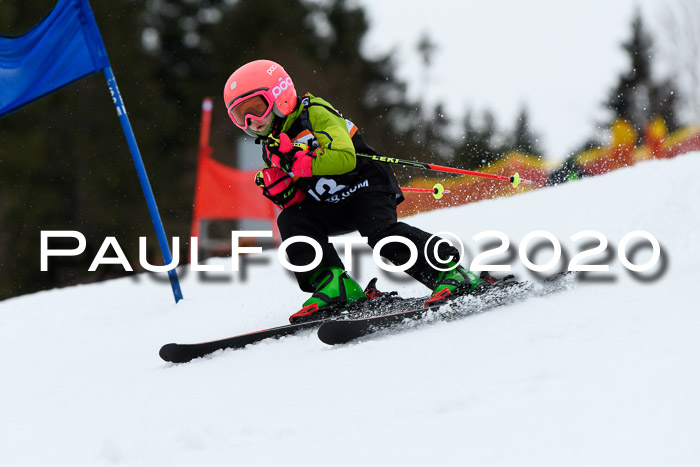 7.  Zienercup + Werdenfelser Meisterschaft 23.02.2020