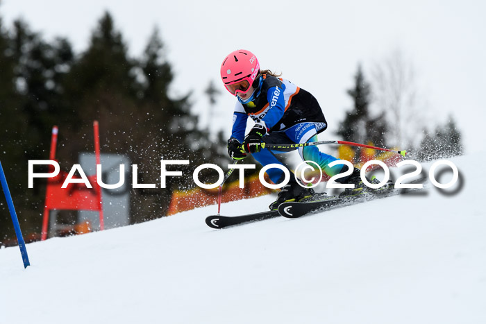 7.  Zienercup + Werdenfelser Meisterschaft 23.02.2020