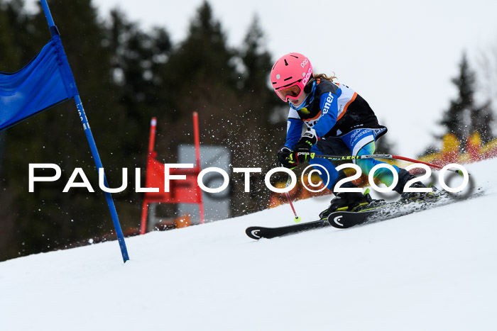 7.  Zienercup + Werdenfelser Meisterschaft 23.02.2020