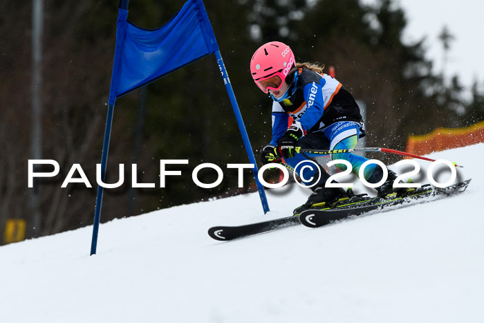 7.  Zienercup + Werdenfelser Meisterschaft 23.02.2020