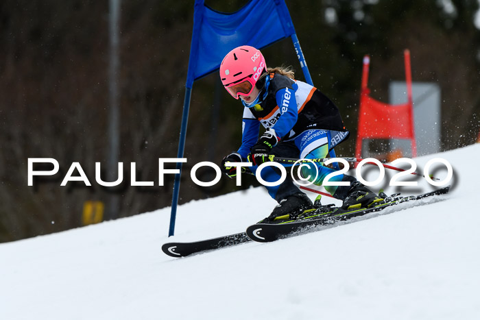 7.  Zienercup + Werdenfelser Meisterschaft 23.02.2020