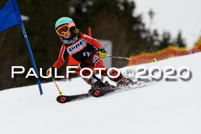 7.  Zienercup + Werdenfelser Meisterschaft 23.02.2020