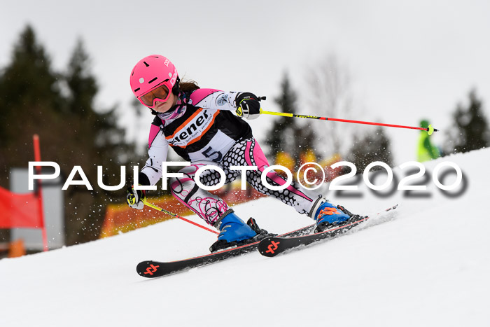 7.  Zienercup + Werdenfelser Meisterschaft 23.02.2020