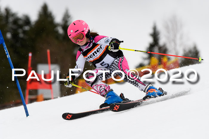 7.  Zienercup + Werdenfelser Meisterschaft 23.02.2020