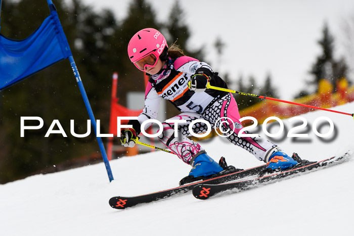 7.  Zienercup + Werdenfelser Meisterschaft 23.02.2020