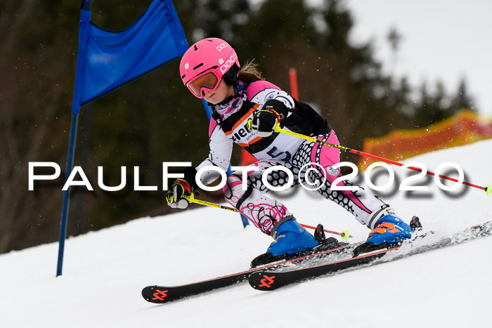 7.  Zienercup + Werdenfelser Meisterschaft 23.02.2020