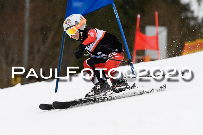 7.  Zienercup + Werdenfelser Meisterschaft 23.02.2020