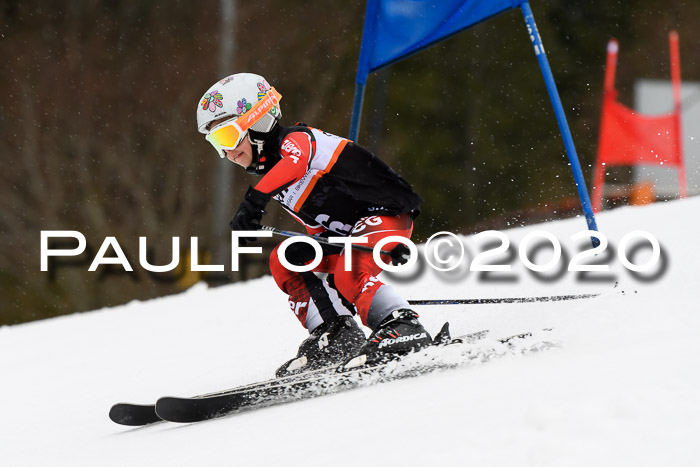 7.  Zienercup + Werdenfelser Meisterschaft 23.02.2020