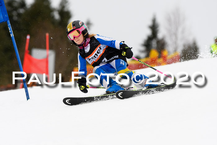 7.  Zienercup + Werdenfelser Meisterschaft 23.02.2020