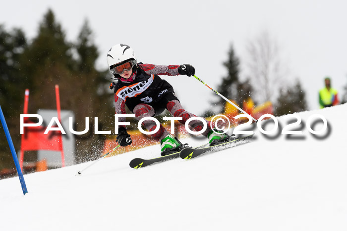 7.  Zienercup + Werdenfelser Meisterschaft 23.02.2020