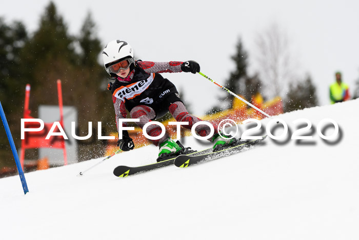 7.  Zienercup + Werdenfelser Meisterschaft 23.02.2020