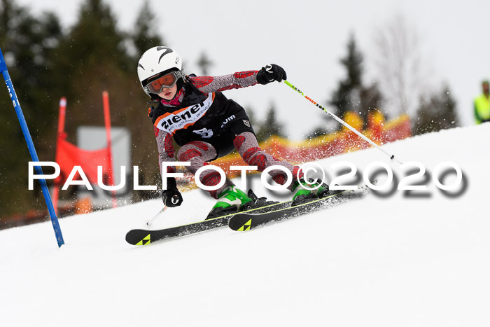 7.  Zienercup + Werdenfelser Meisterschaft 23.02.2020