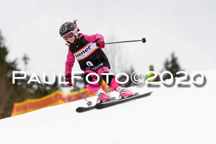 7.  Zienercup + Werdenfelser Meisterschaft 23.02.2020