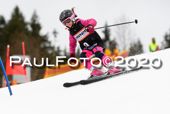 7.  Zienercup + Werdenfelser Meisterschaft 23.02.2020