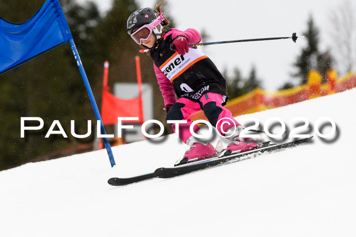 7.  Zienercup + Werdenfelser Meisterschaft 23.02.2020