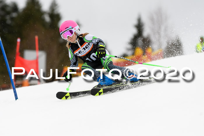 7.  Zienercup + Werdenfelser Meisterschaft 23.02.2020