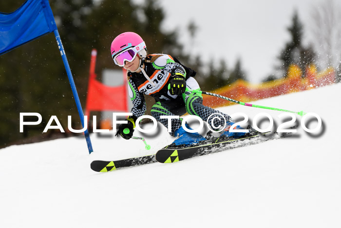 7.  Zienercup + Werdenfelser Meisterschaft 23.02.2020