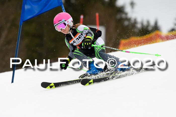 7.  Zienercup + Werdenfelser Meisterschaft 23.02.2020