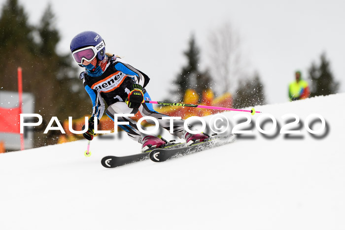 7.  Zienercup + Werdenfelser Meisterschaft 23.02.2020