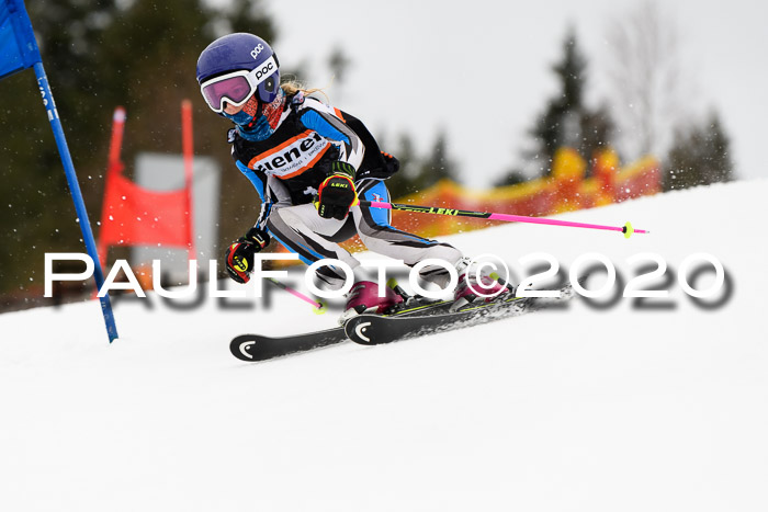 7.  Zienercup + Werdenfelser Meisterschaft 23.02.2020