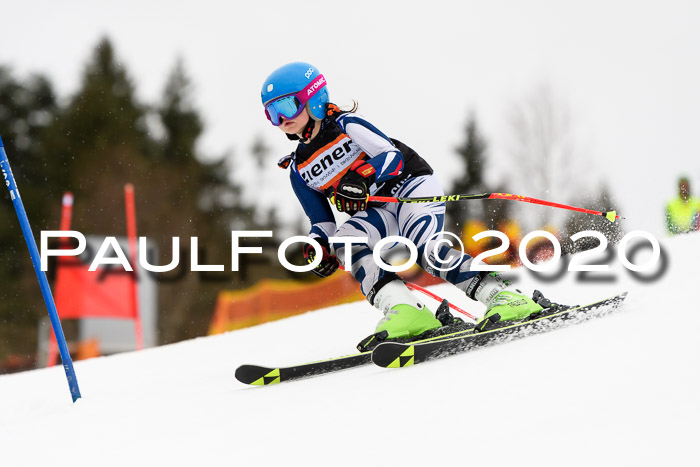 7.  Zienercup + Werdenfelser Meisterschaft 23.02.2020