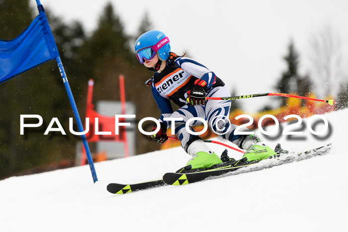 7.  Zienercup + Werdenfelser Meisterschaft 23.02.2020