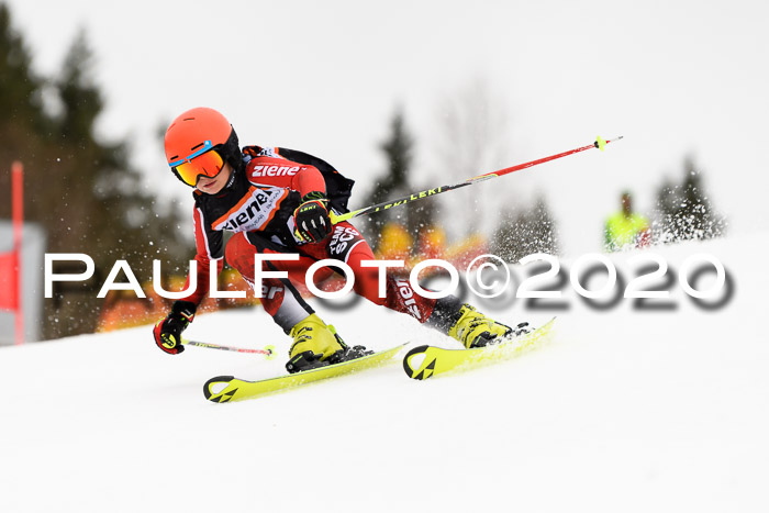 7.  Zienercup + Werdenfelser Meisterschaft 23.02.2020