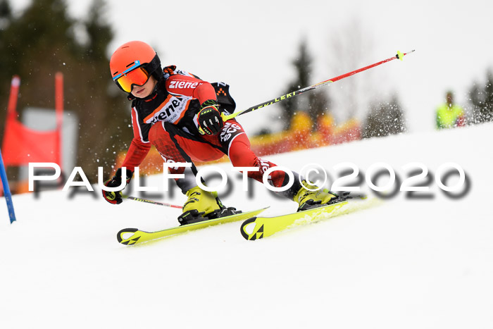 7.  Zienercup + Werdenfelser Meisterschaft 23.02.2020