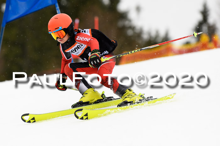 7.  Zienercup + Werdenfelser Meisterschaft 23.02.2020