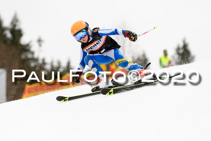 7.  Zienercup + Werdenfelser Meisterschaft 23.02.2020