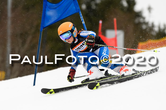 7.  Zienercup + Werdenfelser Meisterschaft 23.02.2020