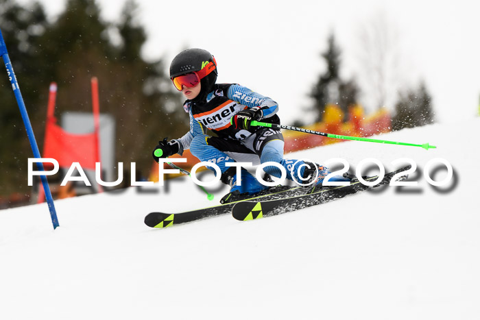 7.  Zienercup + Werdenfelser Meisterschaft 23.02.2020