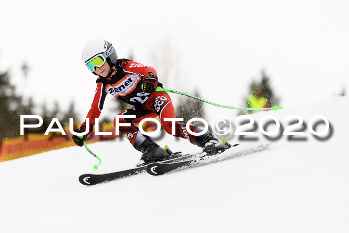 7.  Zienercup + Werdenfelser Meisterschaft 23.02.2020