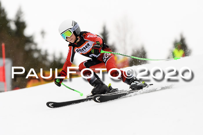 7.  Zienercup + Werdenfelser Meisterschaft 23.02.2020