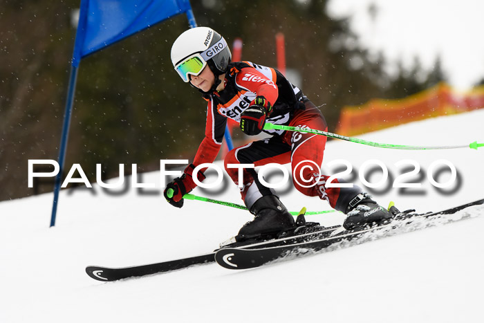 7.  Zienercup + Werdenfelser Meisterschaft 23.02.2020